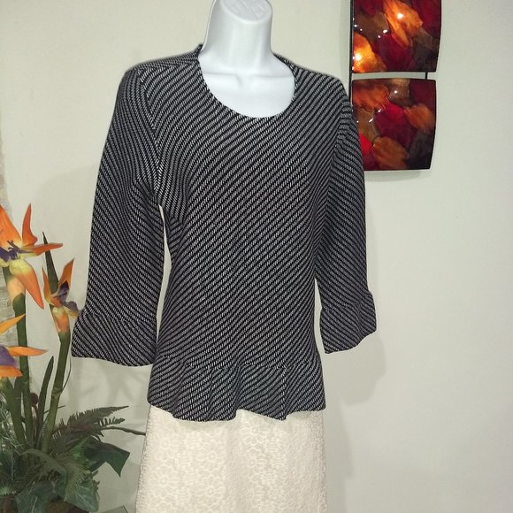 NWT Ann Taylor Petite Peplum style Top Size LP Best trend 2025 - Picture 1 of 4